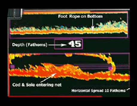 TCS385-300 in split screen showing cod and sole entering the net. 