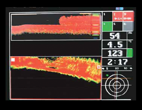 Top: Headrope Sounder: Footrope on bottom, fish entering net. Bottom Profile Screen showing net opening full of fish. 