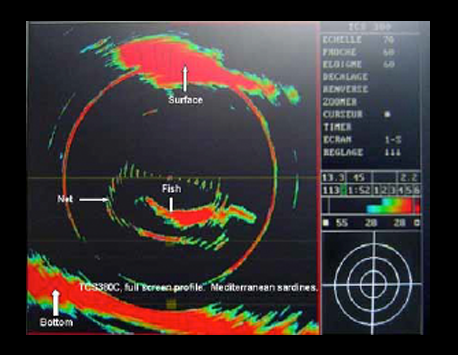 TCS385 in full screen profile fishing for sardines